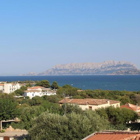 La Conchiglia Villa Olbia Buitenkant foto