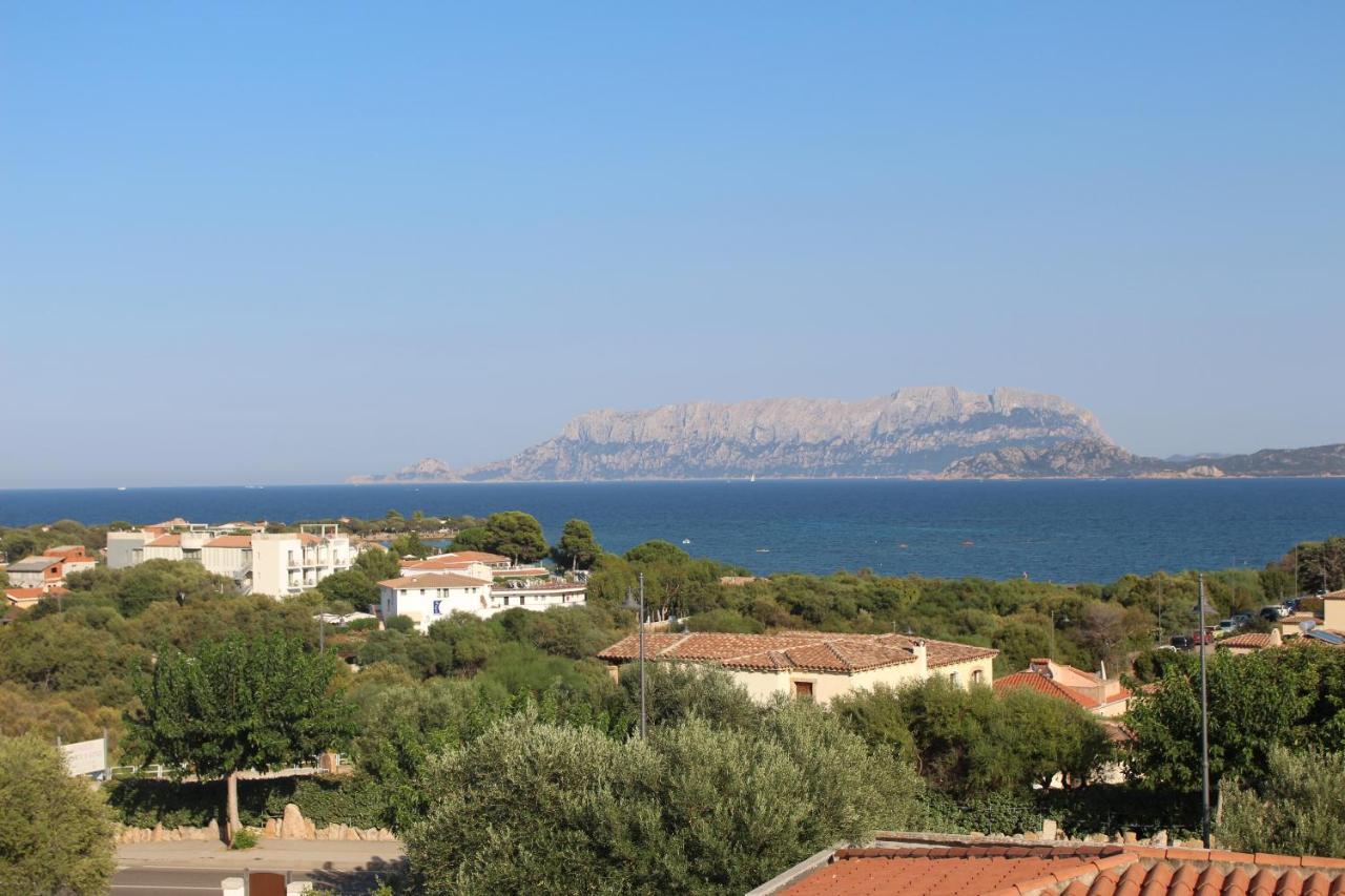 La Conchiglia Villa Olbia Buitenkant foto